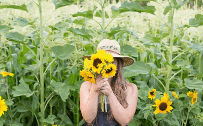 Beginner Gardening Series: August Edition