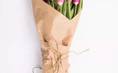 Tulip Care: Tips & Tricks