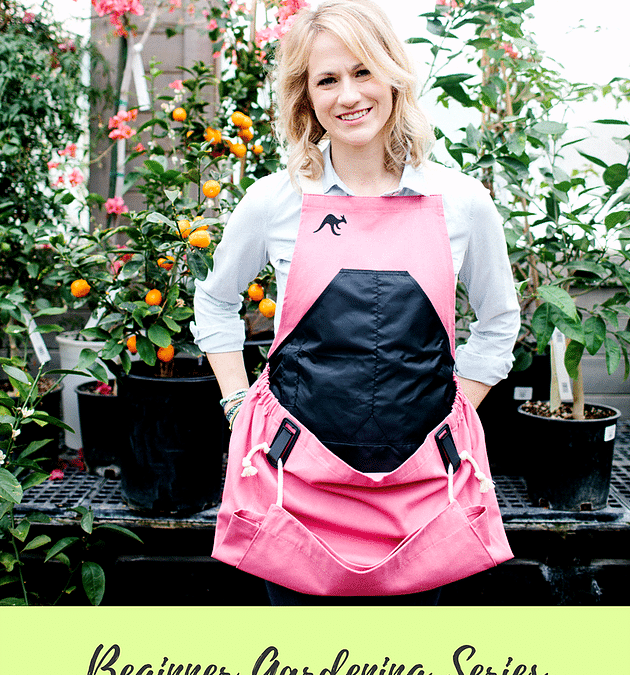 Beginner Gardening Series: April Edition