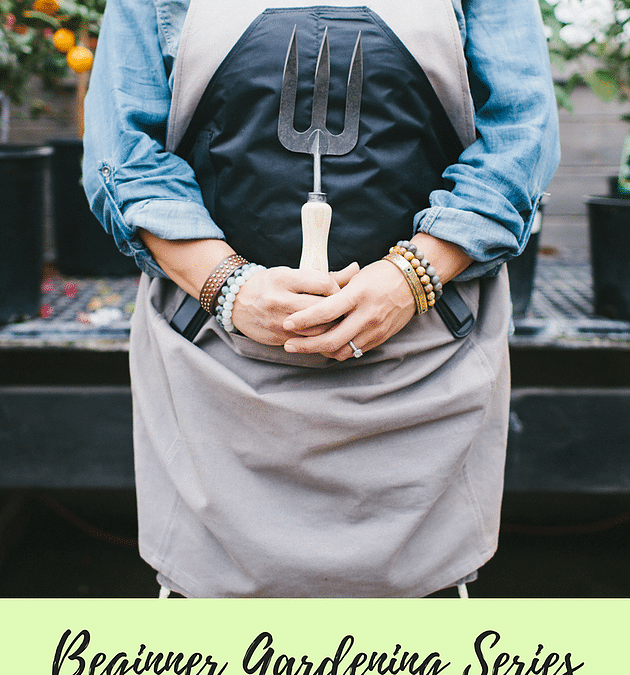 Beginner Gardening Series: May Edition
