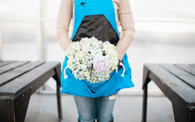 Hydrangea and Rhododendron: How to Care for Your Plants