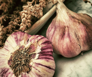 3 Simple Tips to Planting Garlic