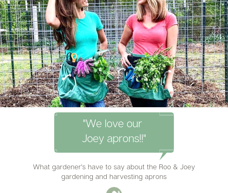 Customer Comments & Reviews