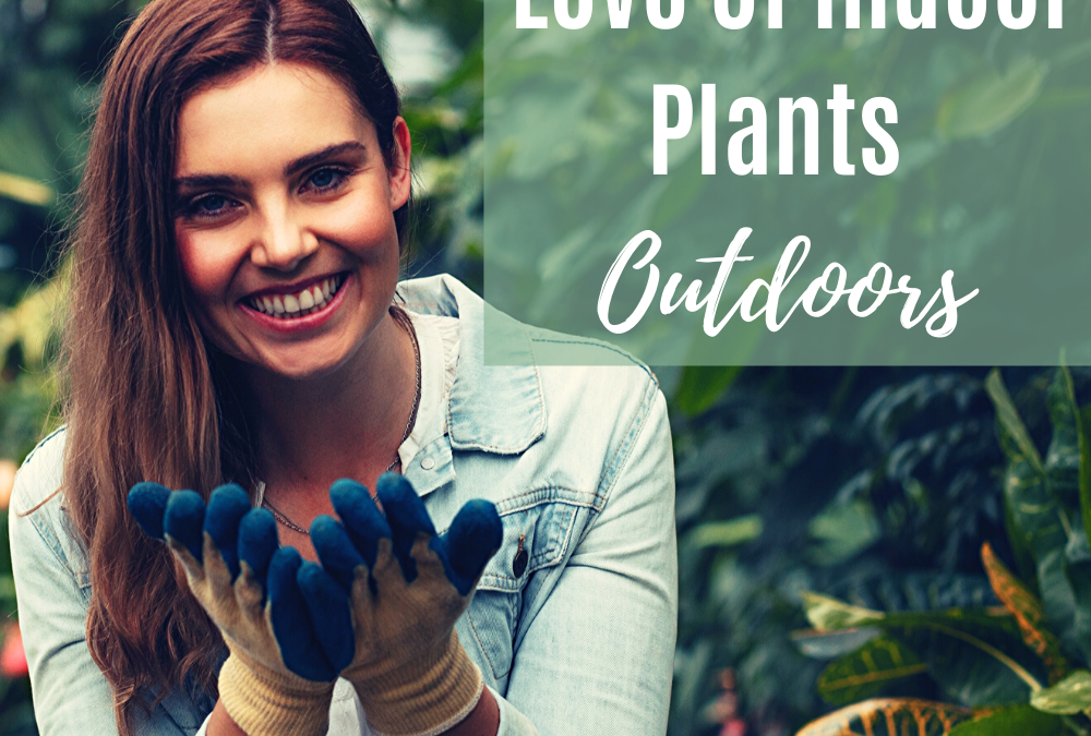 How To Take Your Love Of Indoor Plants Outdoors