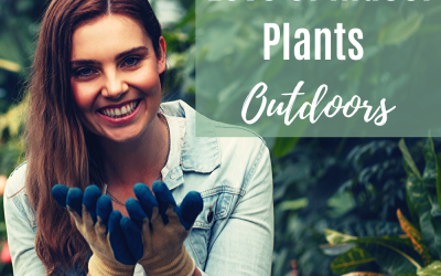 How To Take Your Love Of Indoor Plants Outdoors