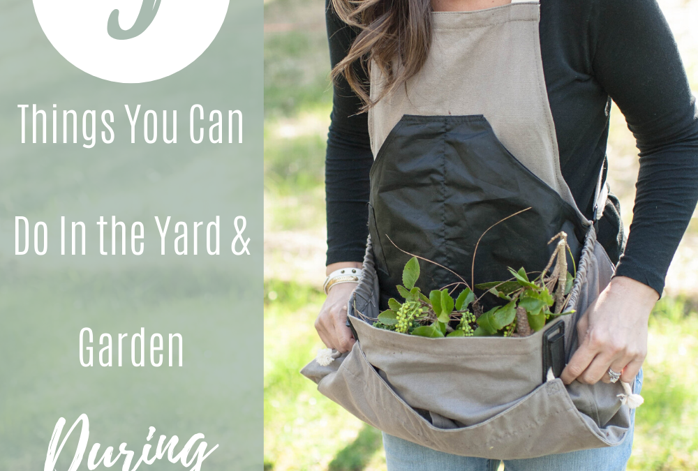 5 Things To Do In The Yard & Garden During Quarantine