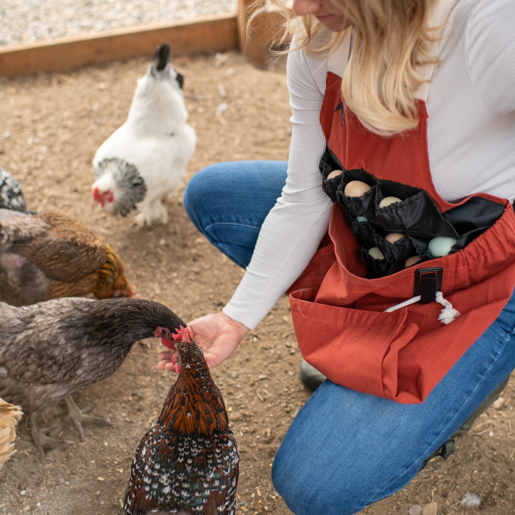 egg collecting apron