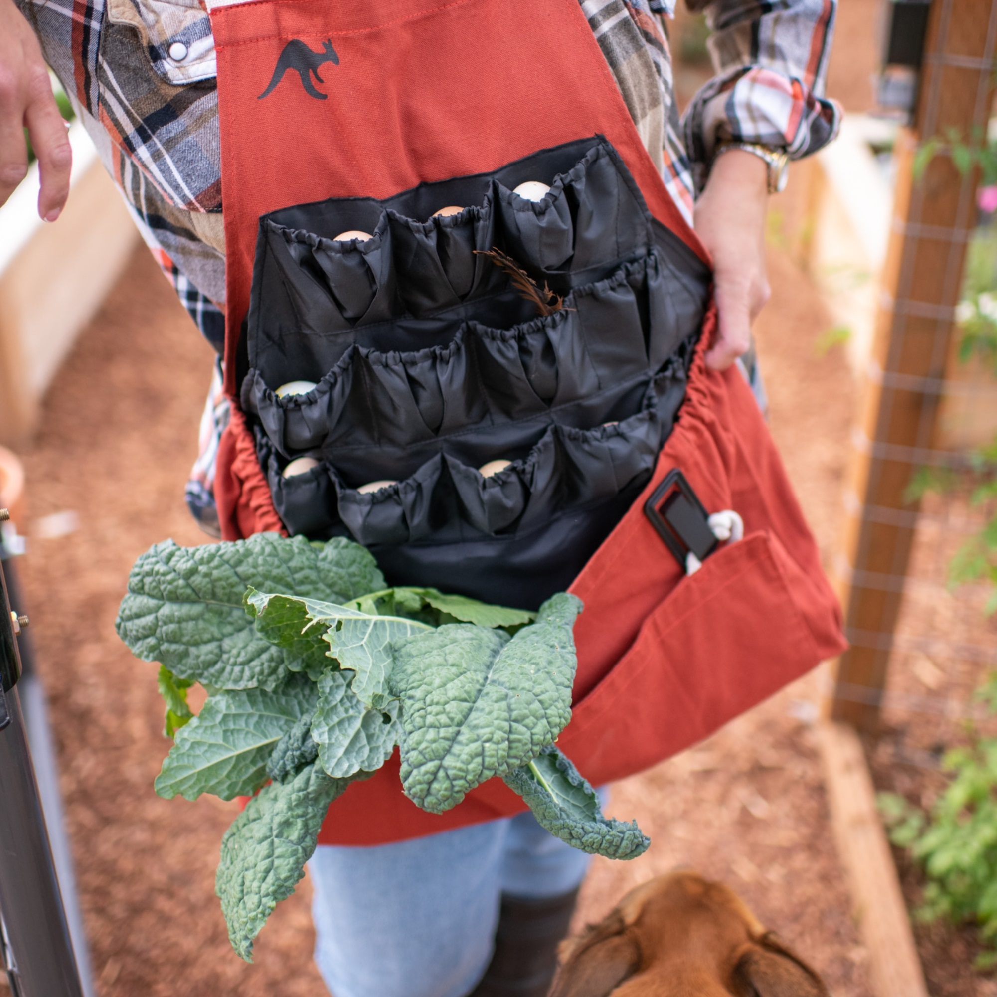 egg collecting apron