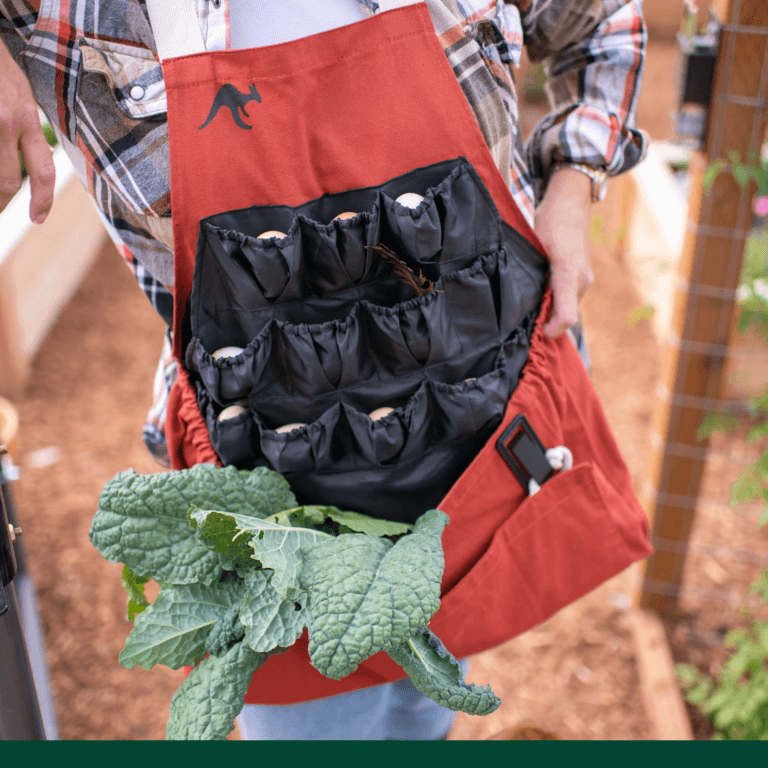 gift idea roo-ster with green stripe (1) egg collecting apron