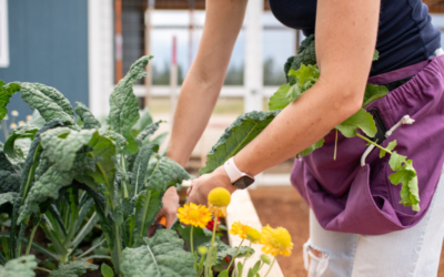The Garden Goods: Basics And Benefits Of Gardening
