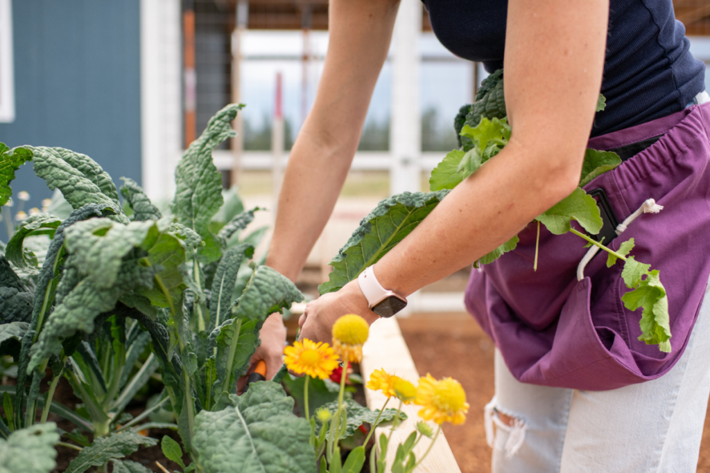 raised bed gardening